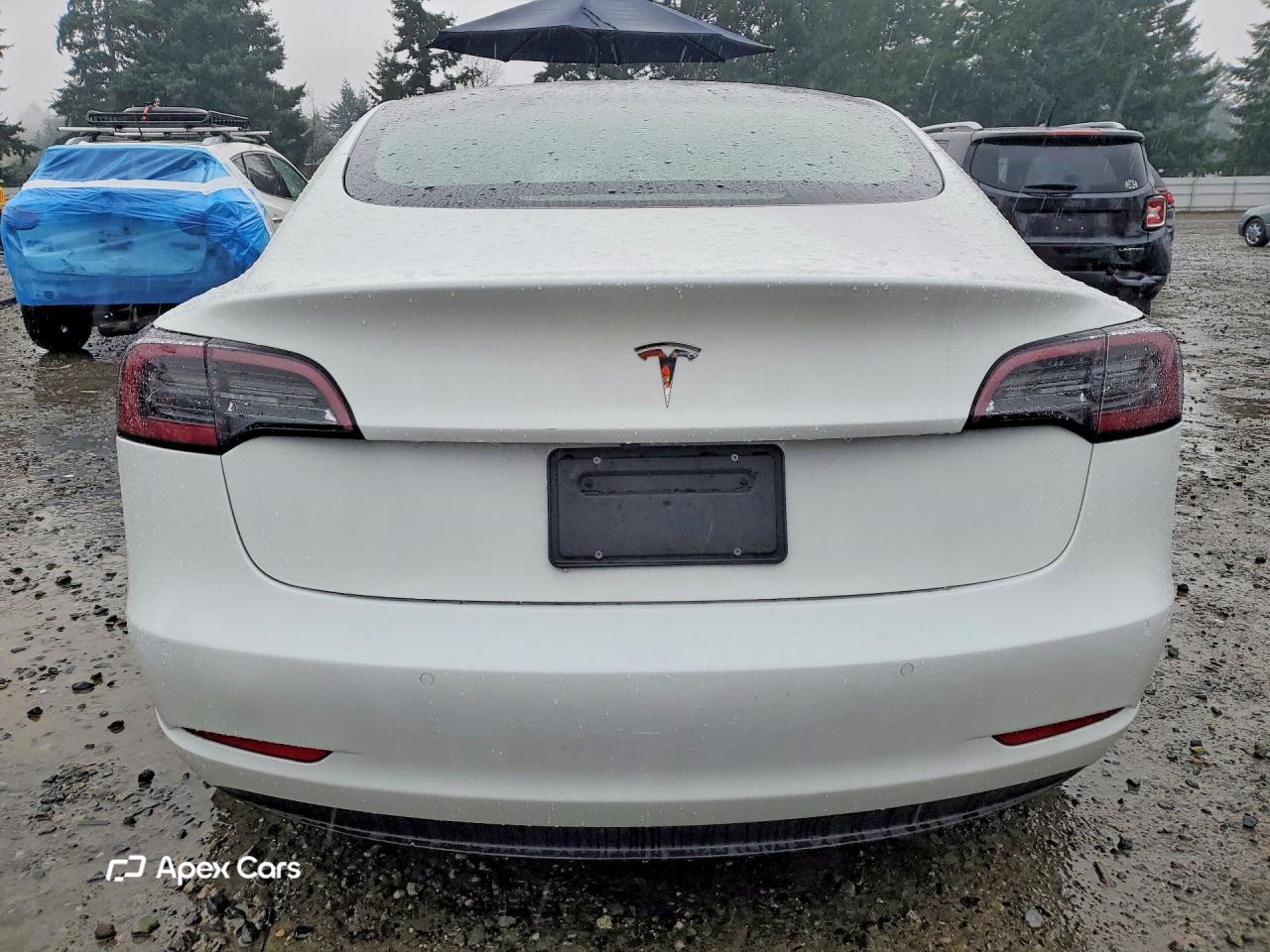 Tesla Model 3 2022