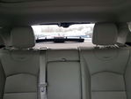 Cadillac XT4 2021