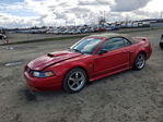 Ford Mustang 2001