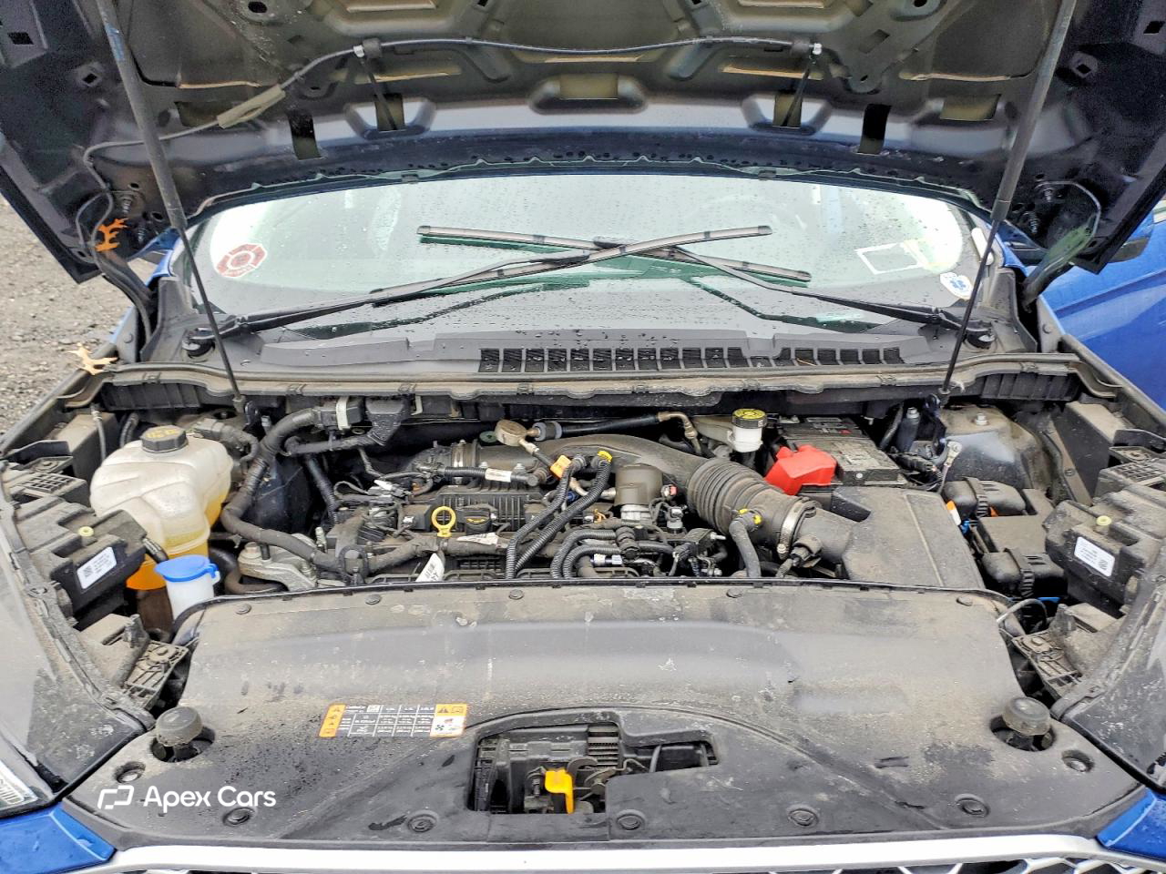 Ford Edge 2024