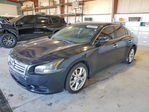 Nissan Maxima 2012
