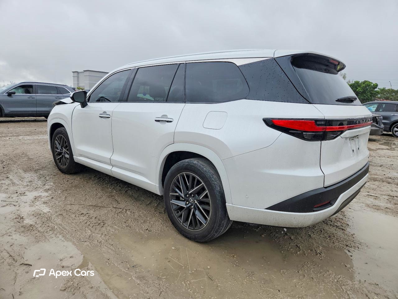 Lexus TX 2024