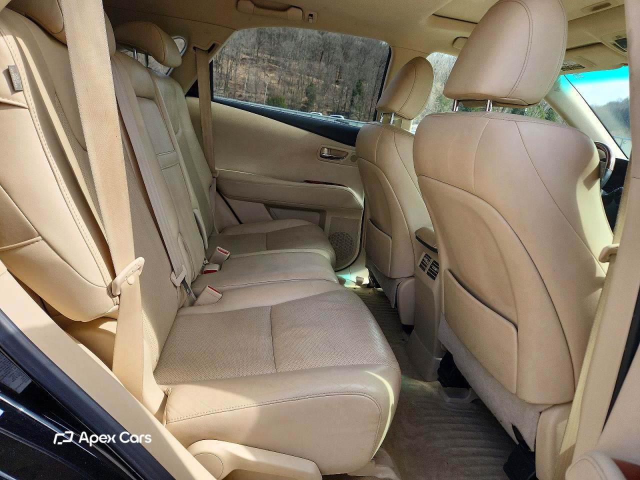 Lexus RX 2010