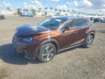 Lexus NX 2019