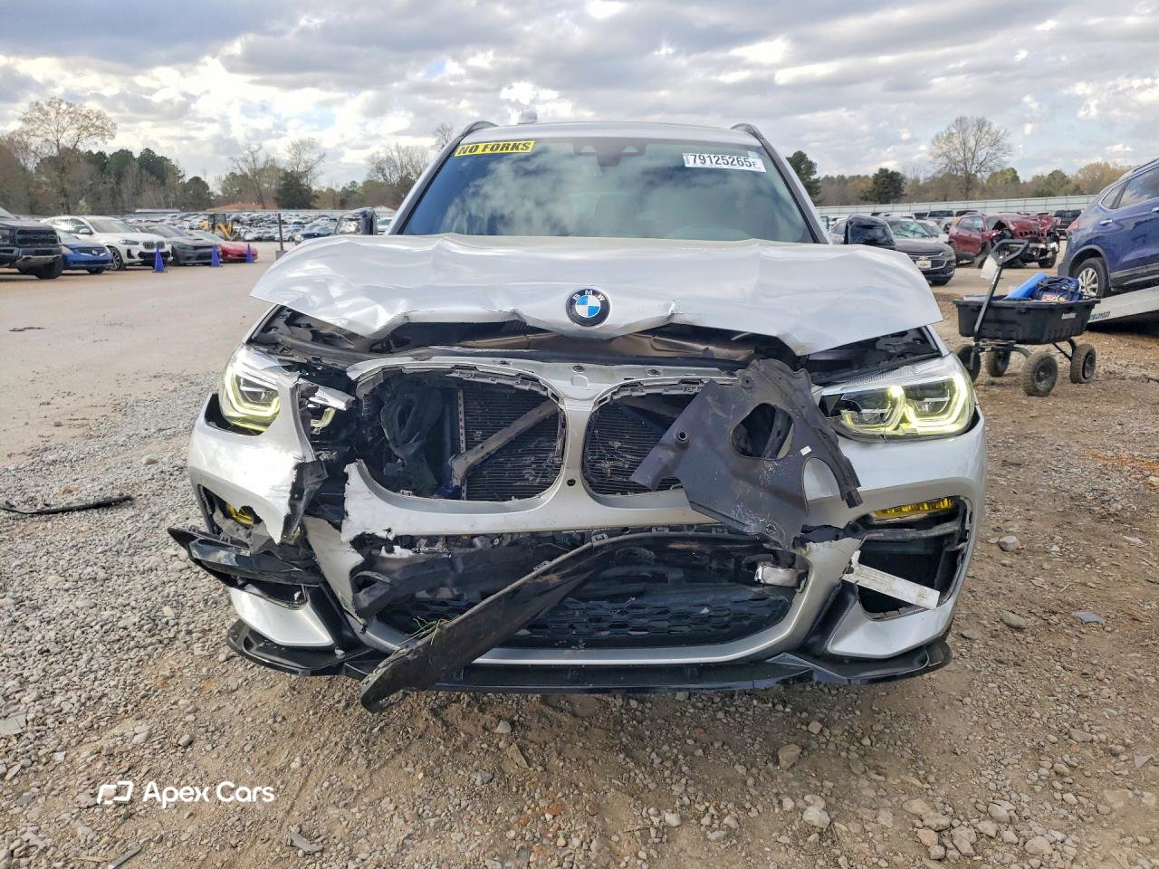 BMW X3 2019