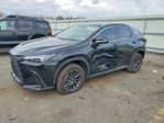 Lexus NX 2025