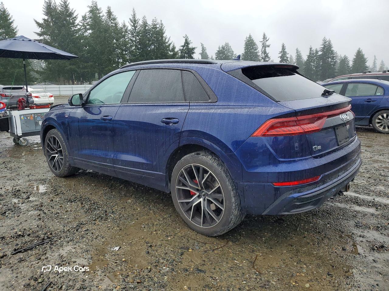 Audi Q8 2019