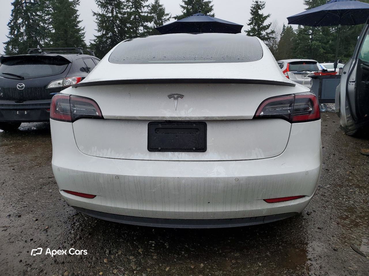 Tesla Model 3 2019
