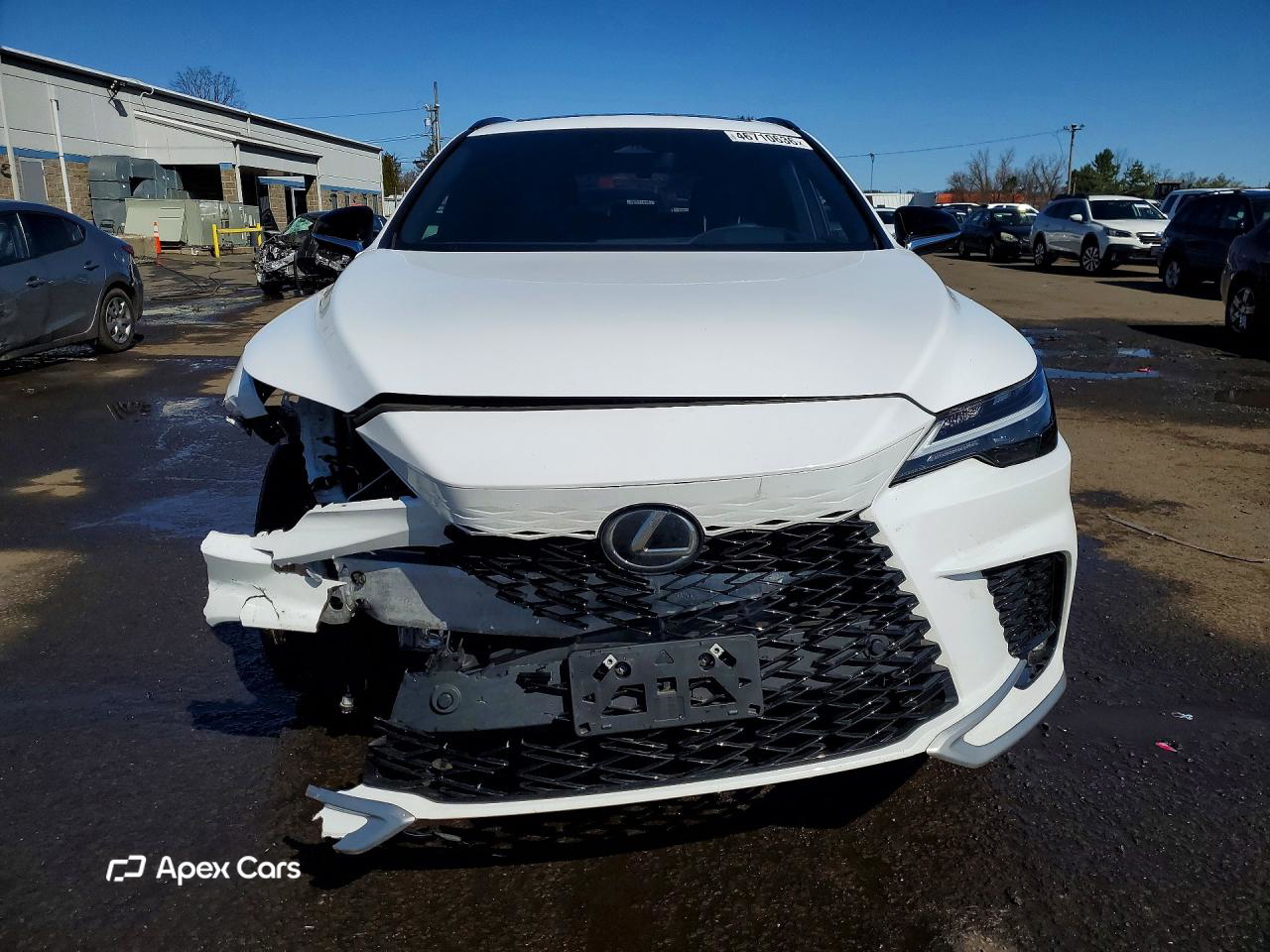 Lexus RX 2024