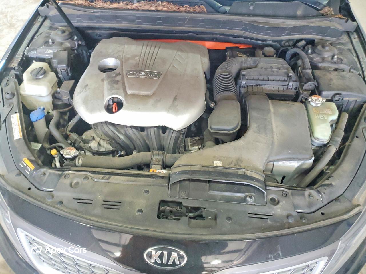 Kia  2015