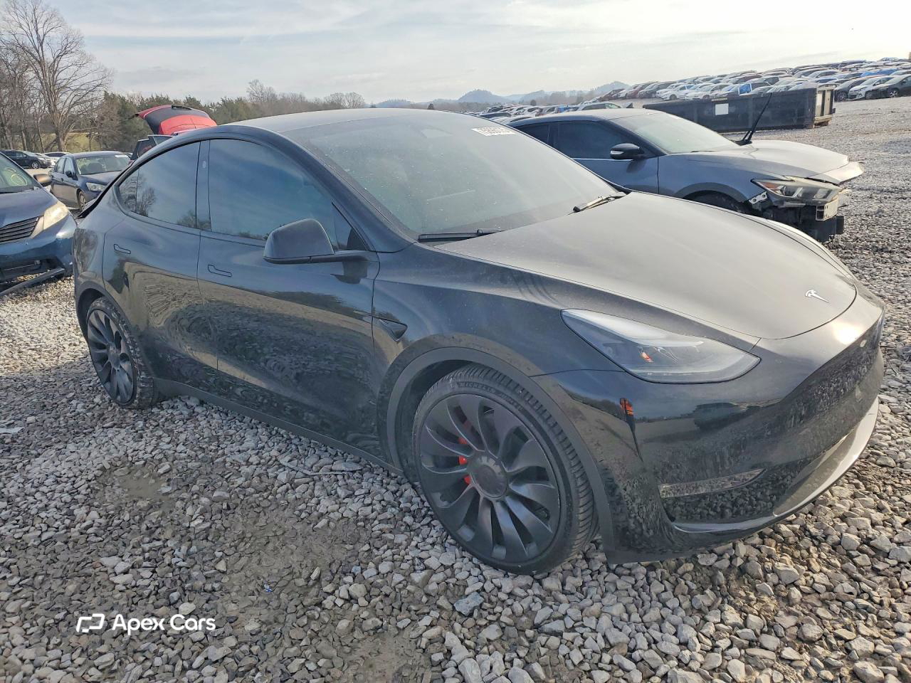Tesla Model Y 2024