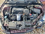 Accord 2013