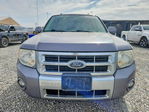 Ford Escape 2008