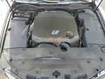 Lexus IS 2009
