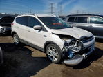 Ford Escape 2014
