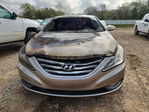 Hyundai Sonata 2014