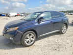Lexus RX 2010