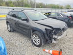Jeep Cherokee 2022