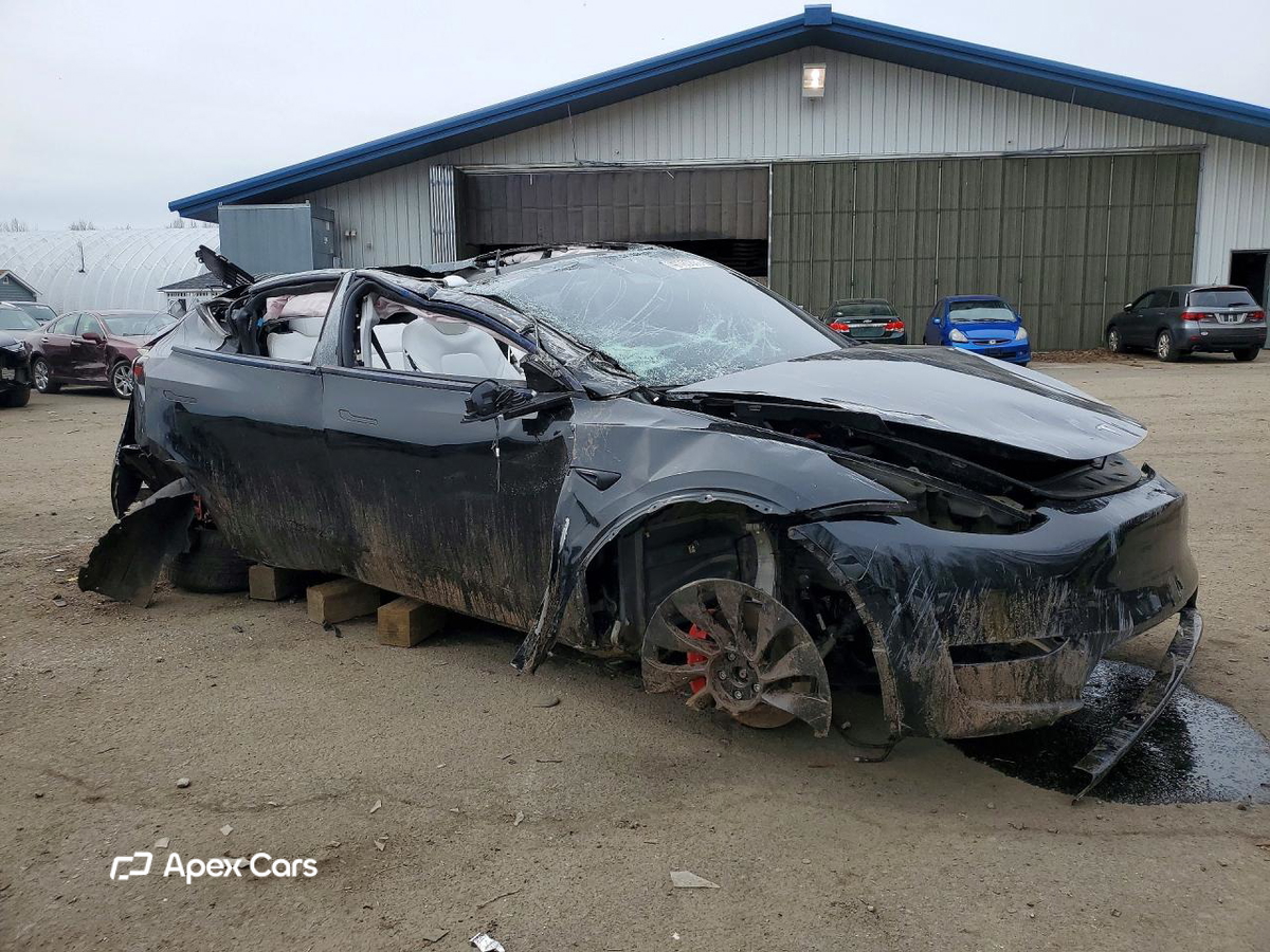 Tesla Model Y 2024