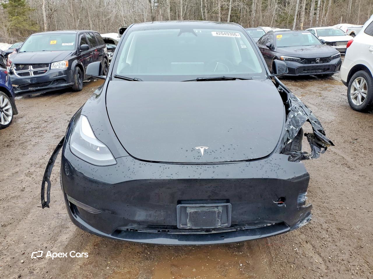 Tesla Model Y 2024