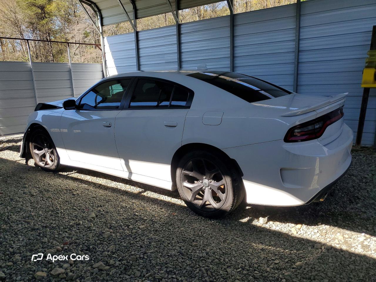 Dodge Charger 2019
