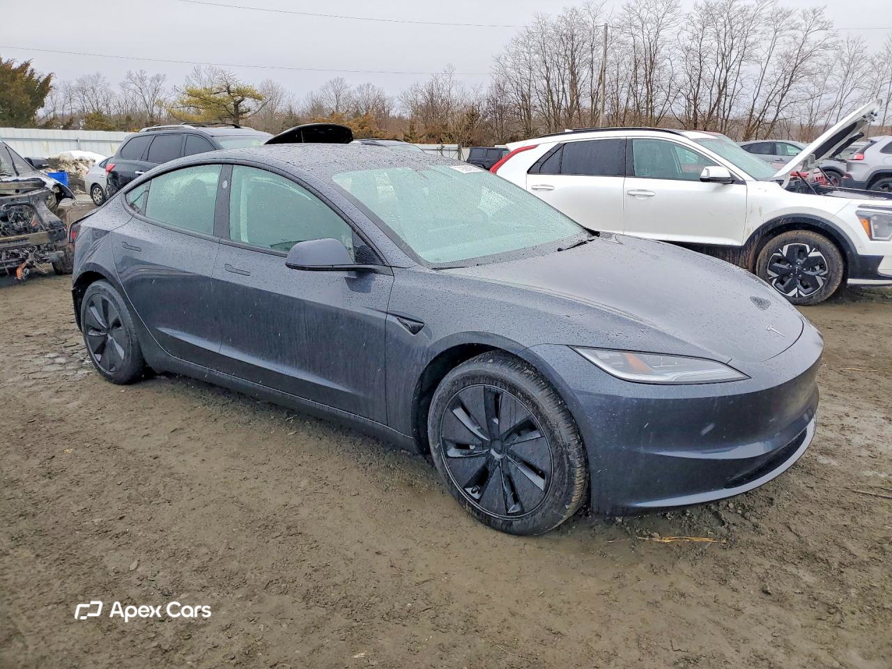 Tesla Model 3 2025