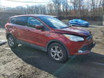 Ford Escape 2014