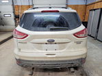 Ford Escape 2013