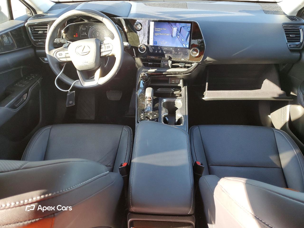 Lexus NX 2024