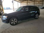 Audi Q5 2010