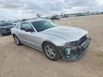 Ford Mustang 2014