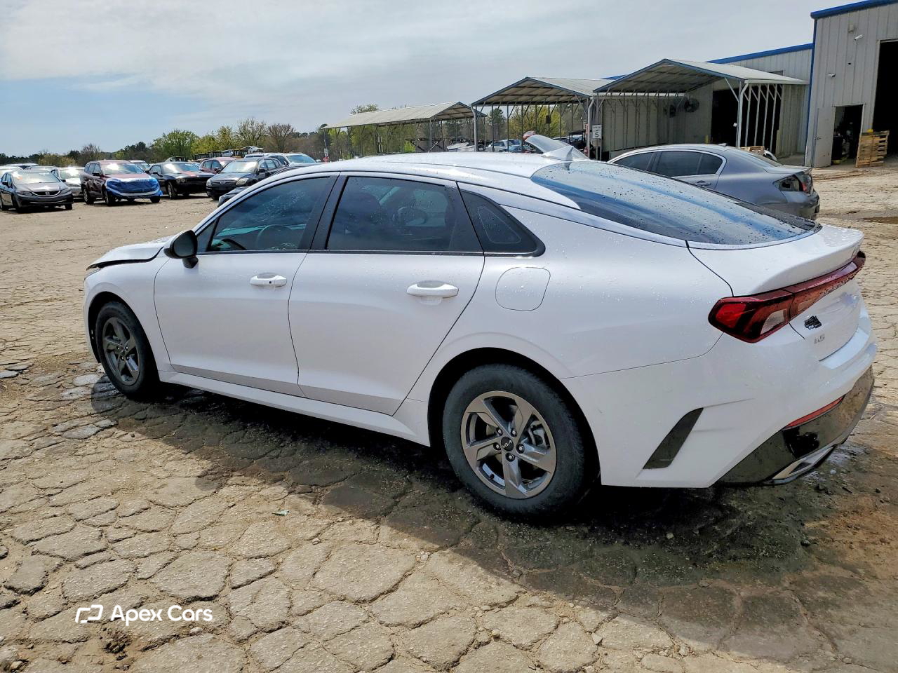 Kia K5 2024