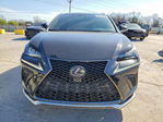 Lexus NX 2020