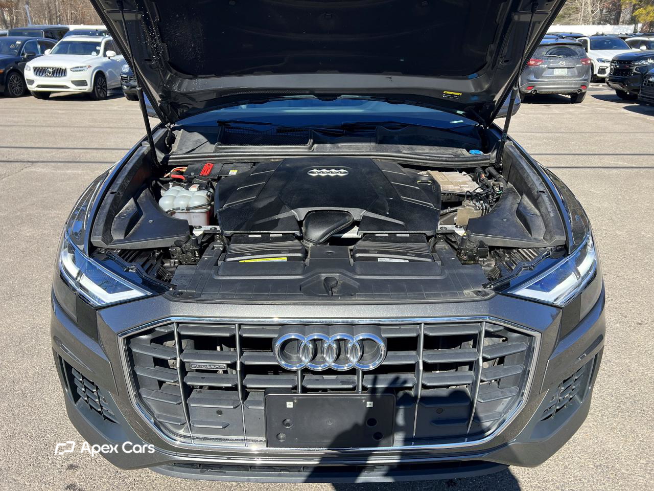 Audi Q8 2019
