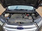 Ford Edge 2017