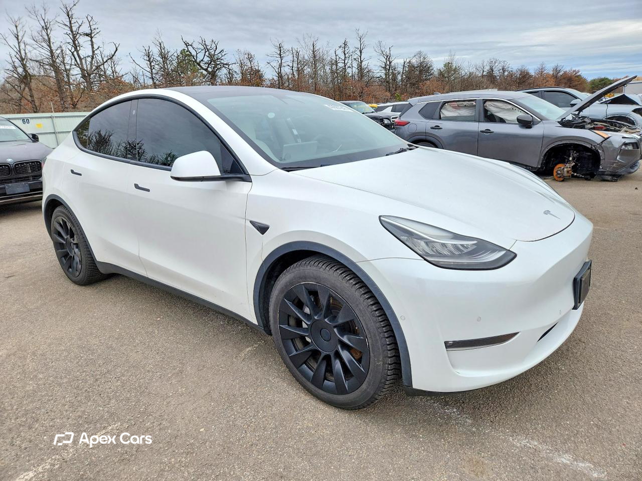 Tesla Model Y 2022