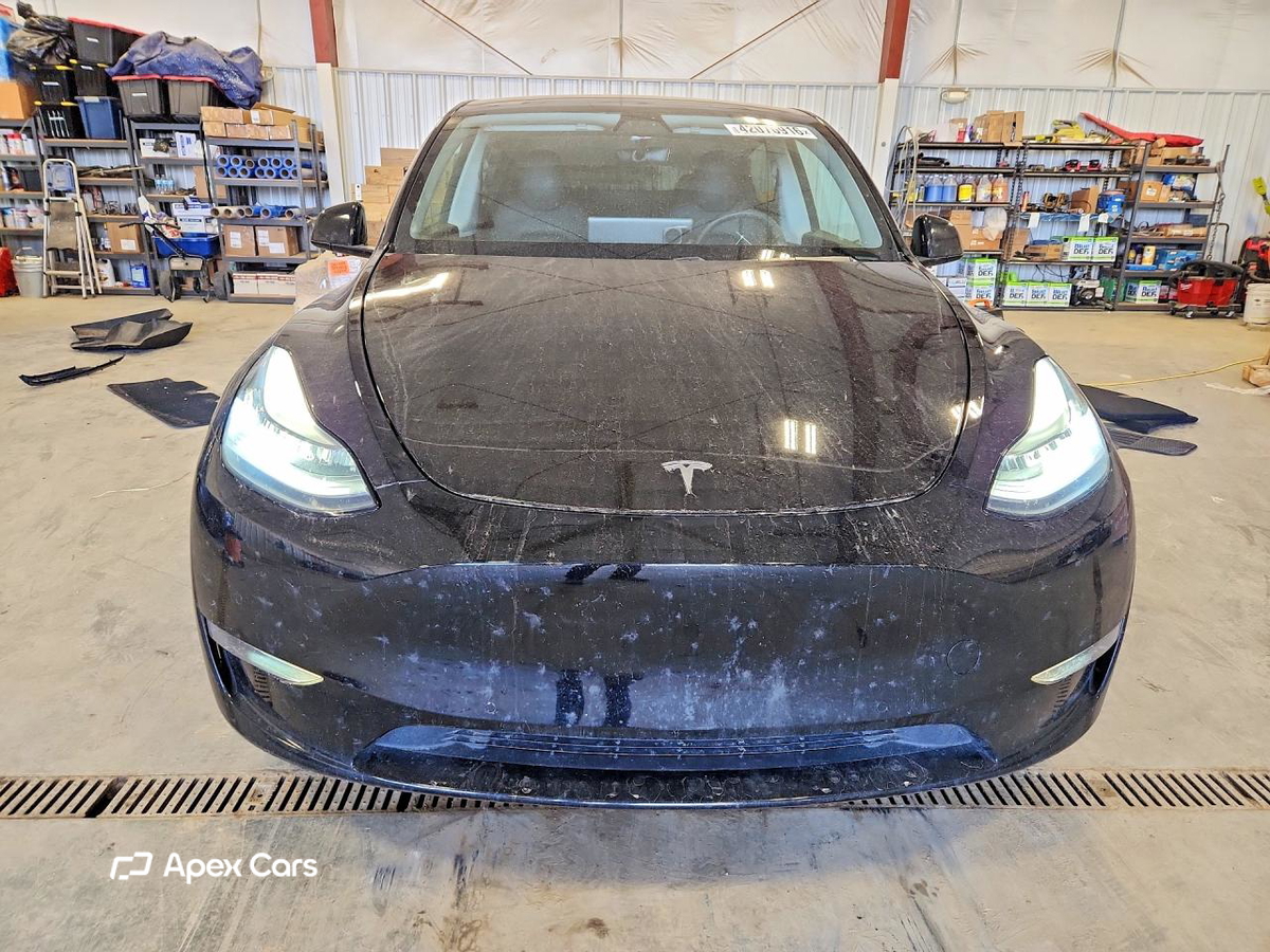 Tesla Model Y 2020