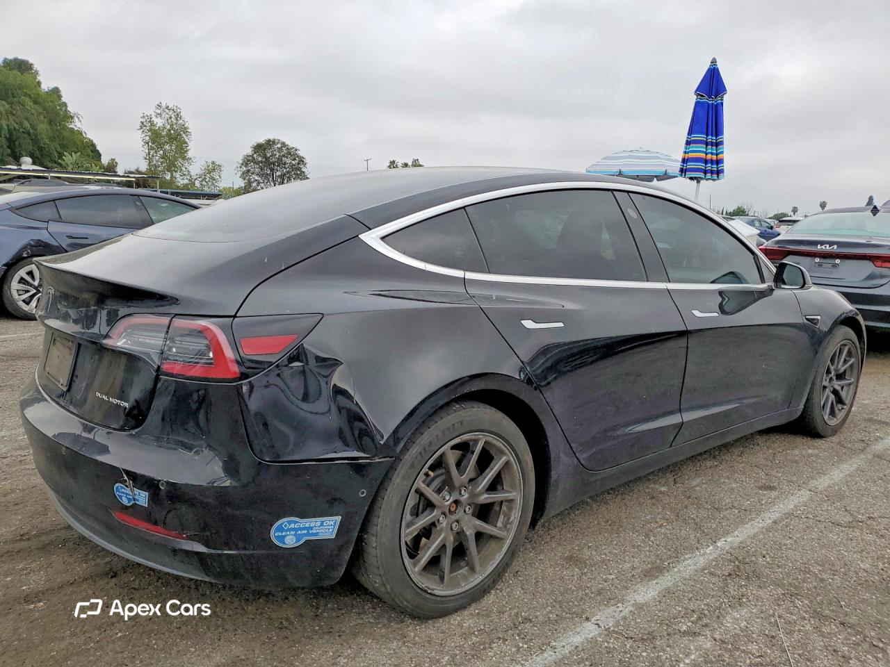 Tesla Model 3 2019