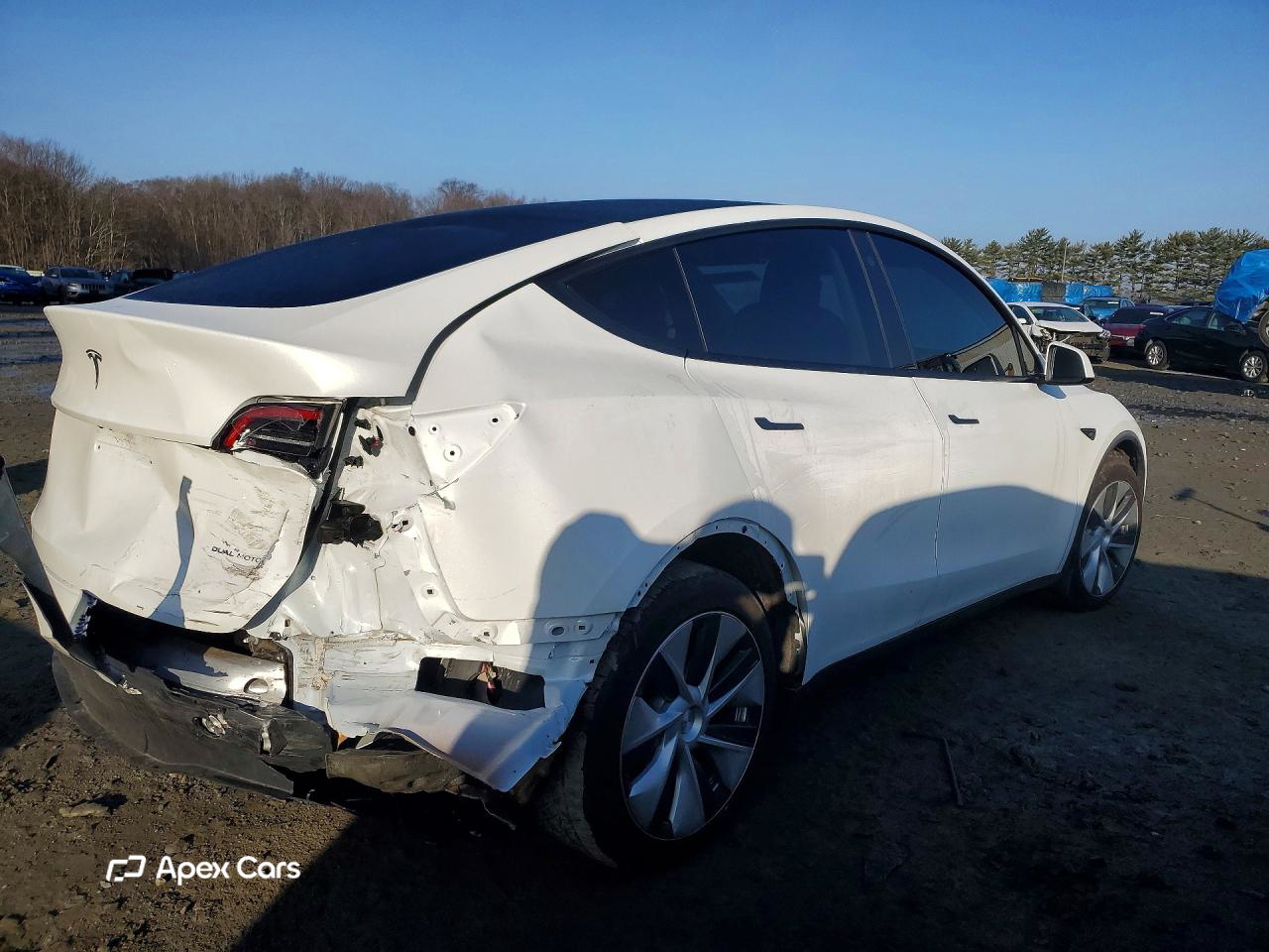 Tesla Model Y 2023