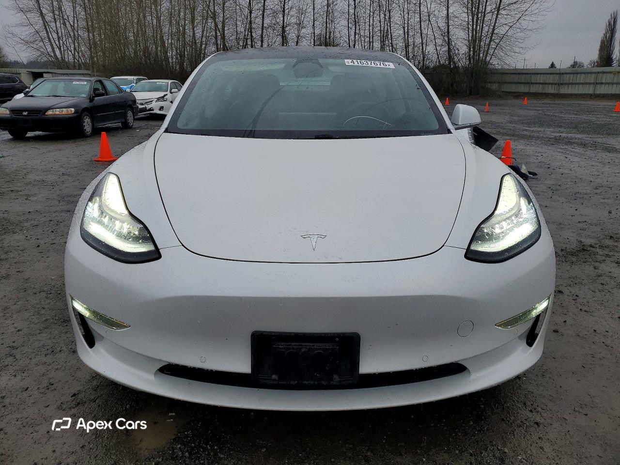 Tesla Model 3 2020