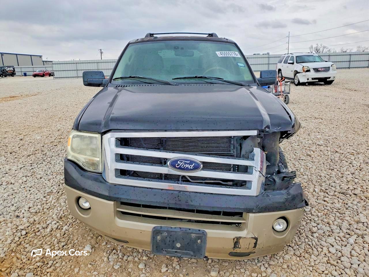 Ford Expedition 2010