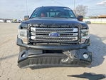 Ford F-150 2013