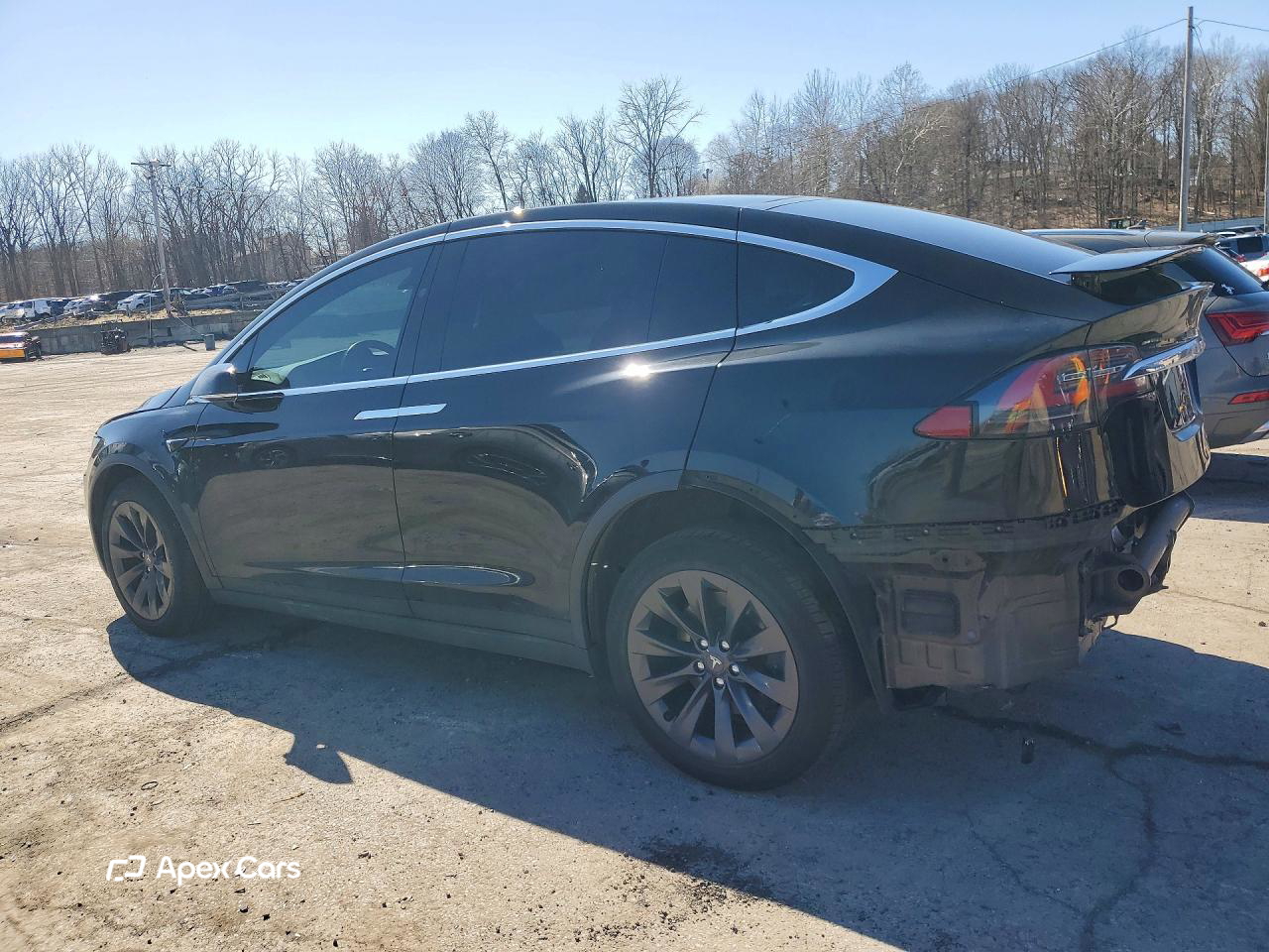 Tesla Model X 2019