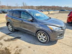 Ford Escape 2016
