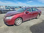 Lexus ES 2008