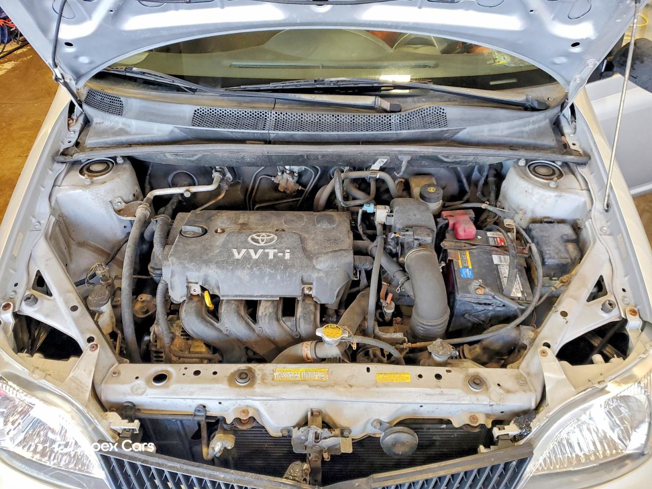 Toyota Echo 2002