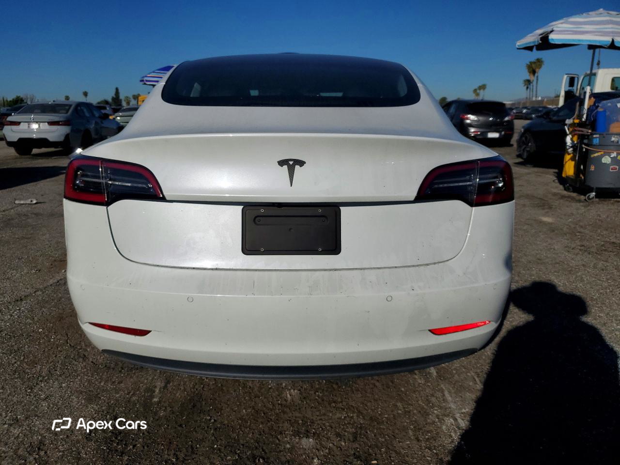 Tesla Model 3 2019