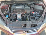 Honda Accord 2013