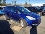Ford Escape 2013