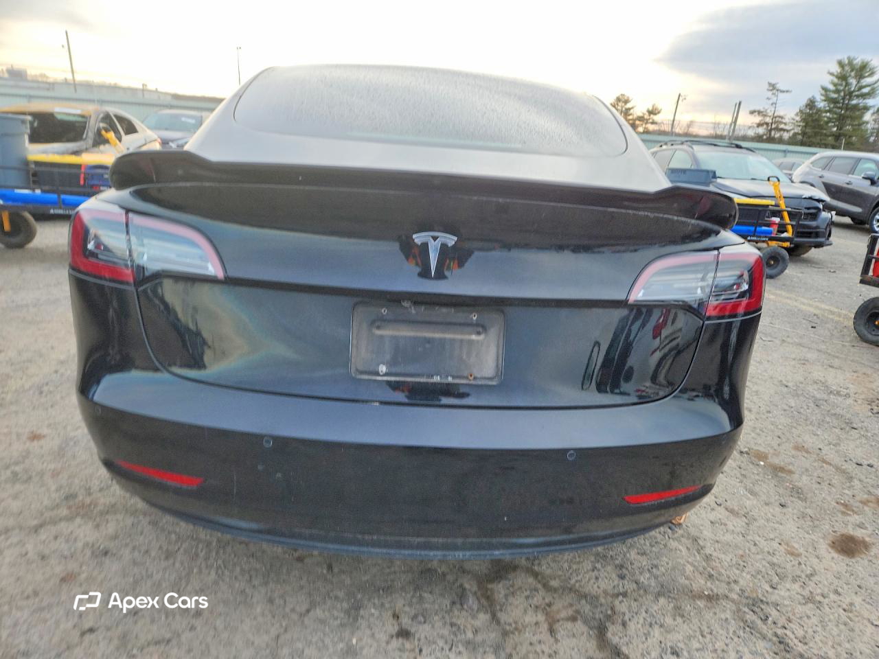 Tesla Model 3 2019